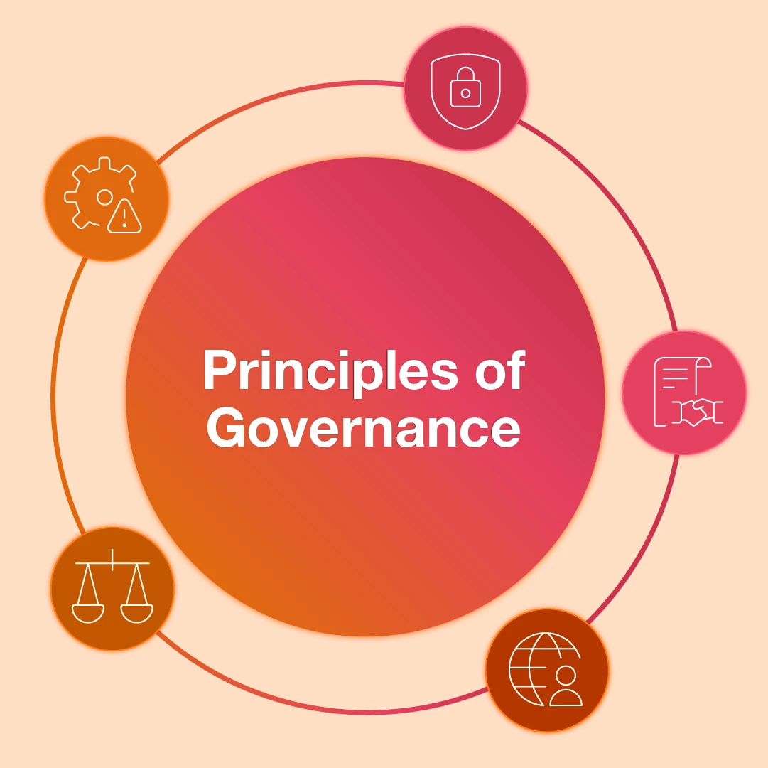 principles of governace