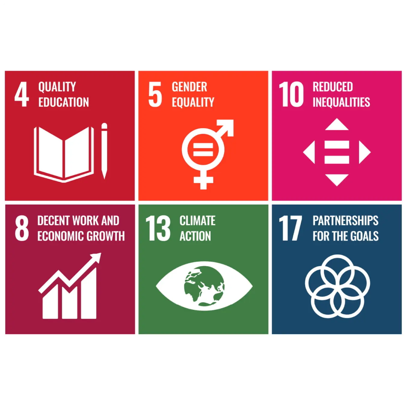  UN Sustainable Development Goals (SDGs)